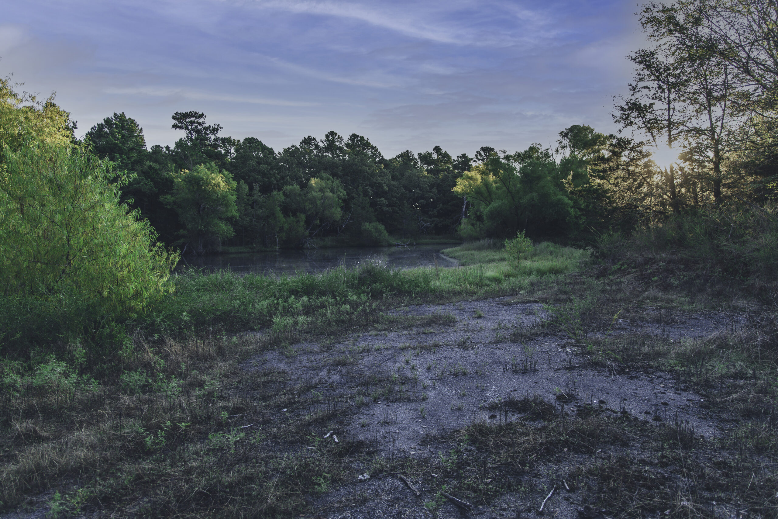 Penny 30 | Hackett Arkansas mls-26 Hackett Arkansas best land sales agent realtor land broker near me