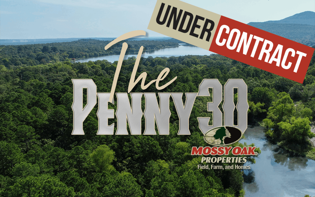 Arkansas Land realtors, near me, land for sale, auctioneer Logan May, Mossy oak properties