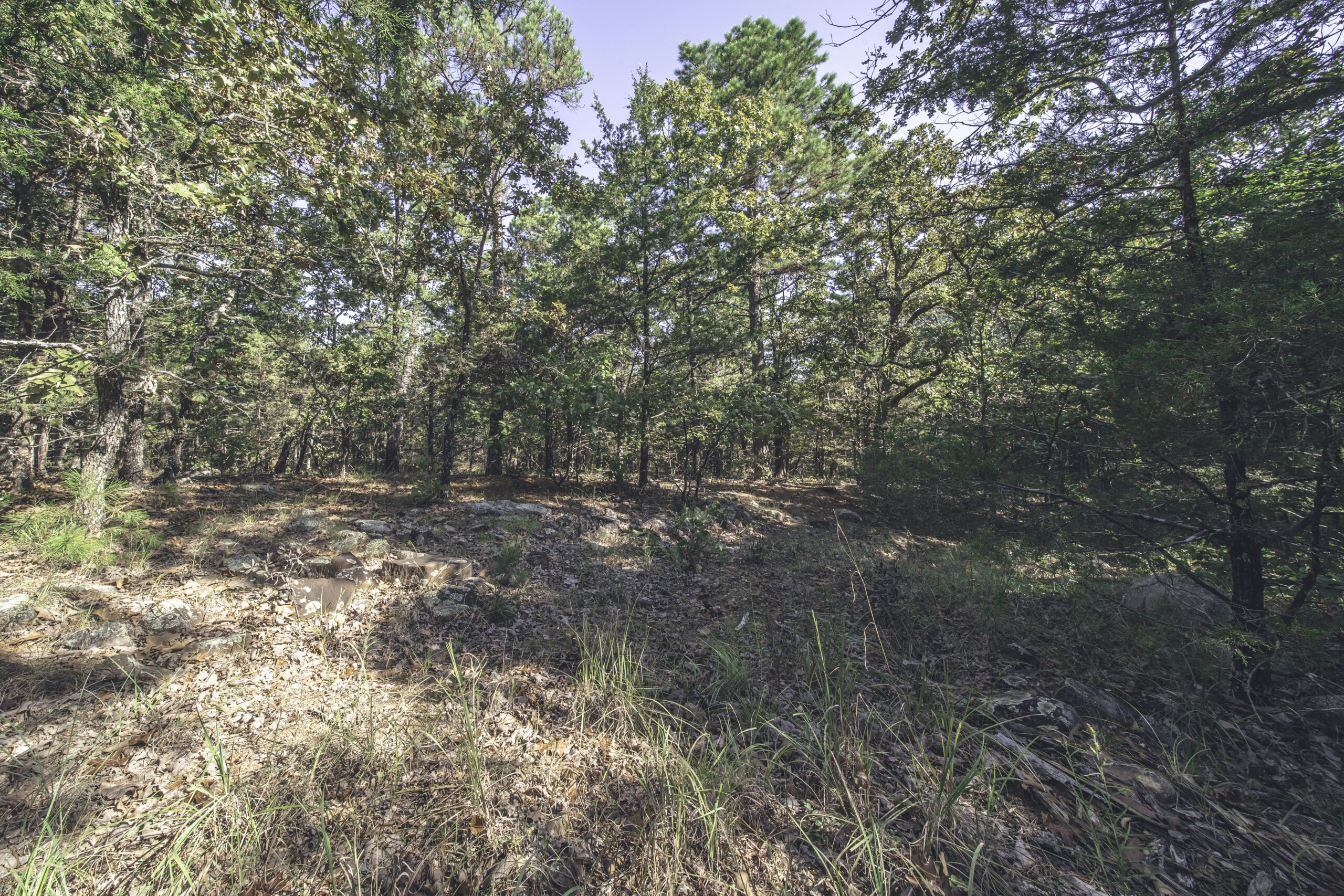 penny 30 | HACKETT ARKANSAS1 Arkansas real estate agent near me