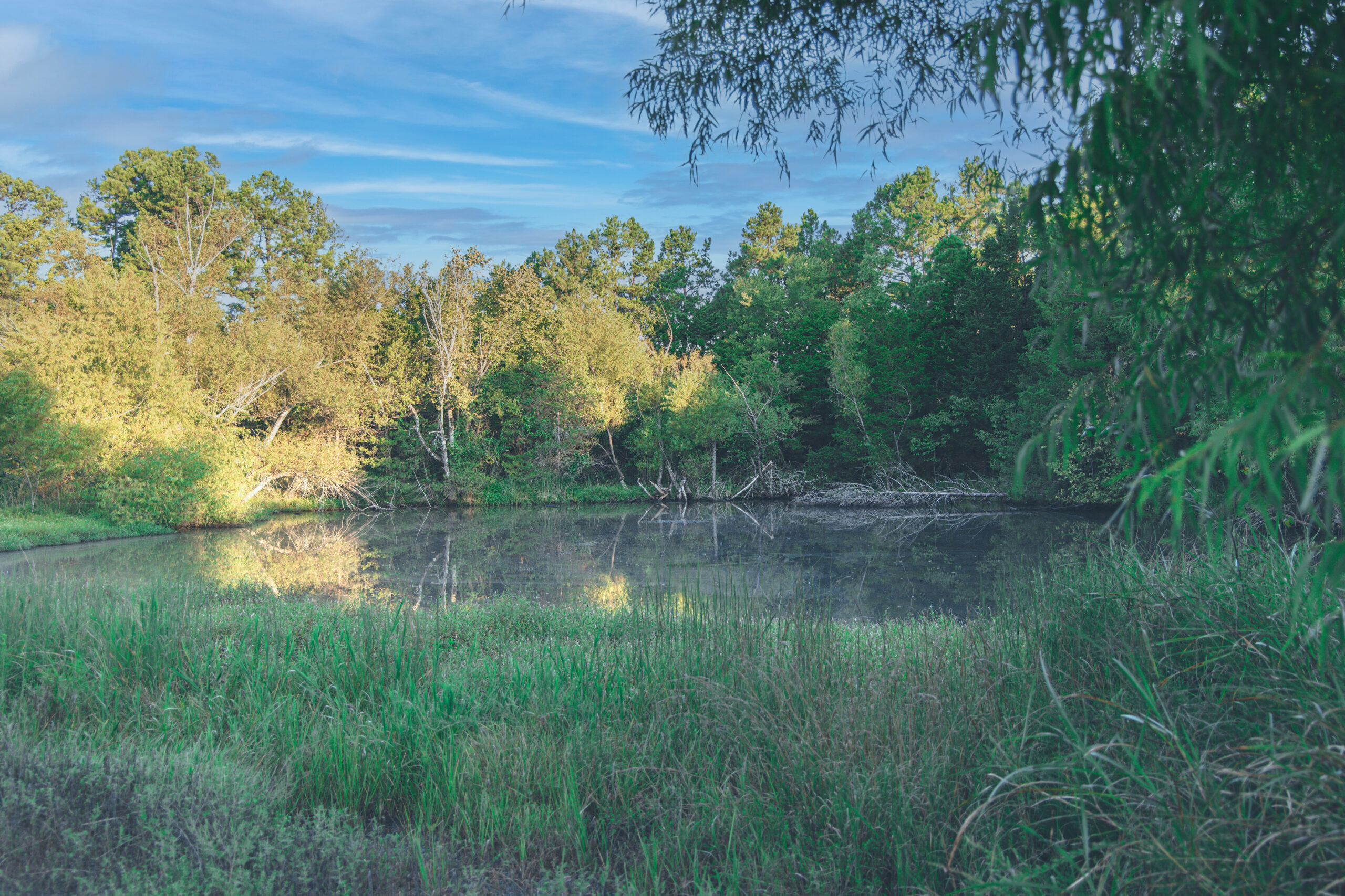 penny 30 | HACKETT ARKANSAS13 land brokers, near me, mossy oak properties field farm and home