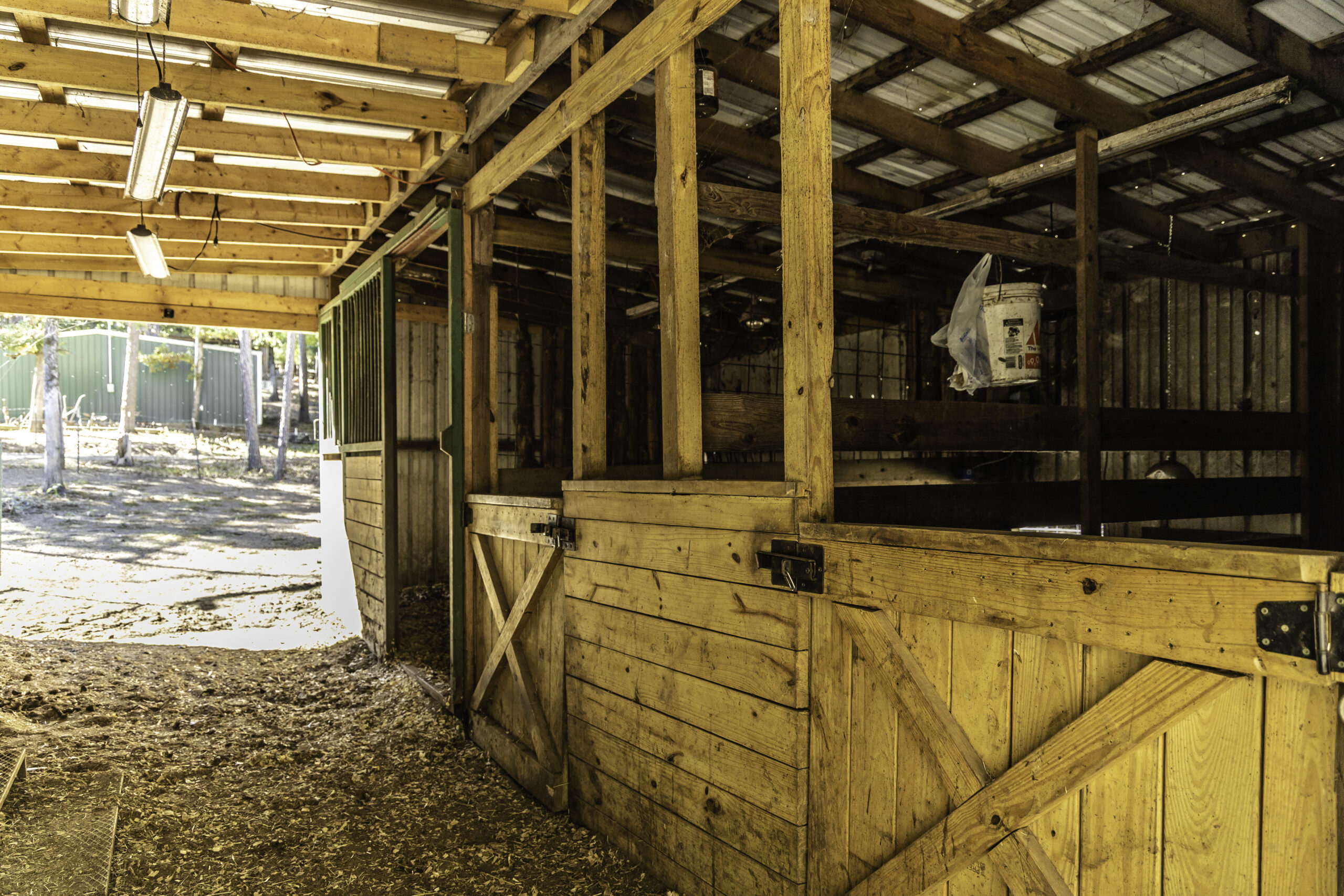 Arkansas real estate agent near me