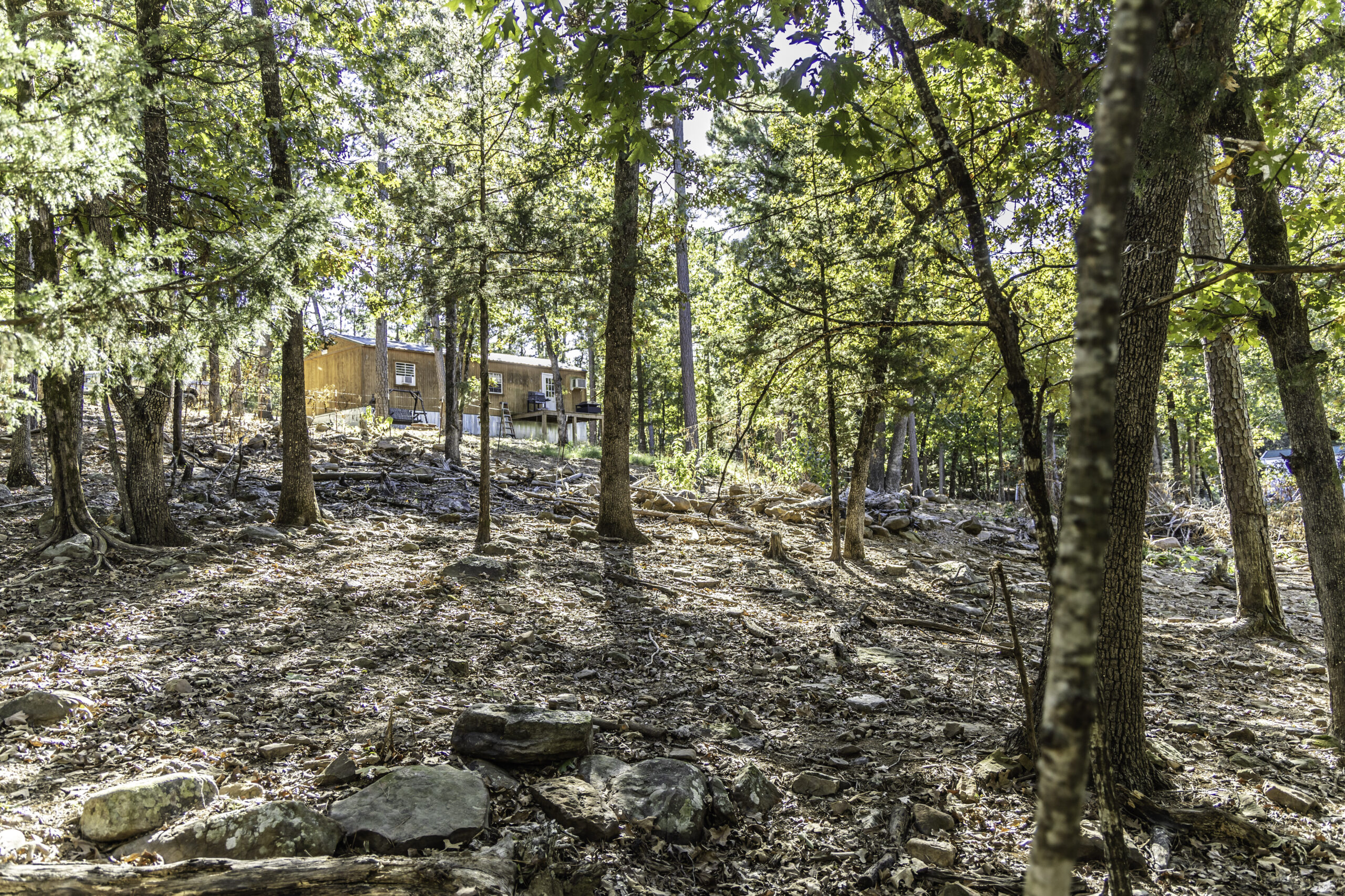 Arkansas real estate agent near me