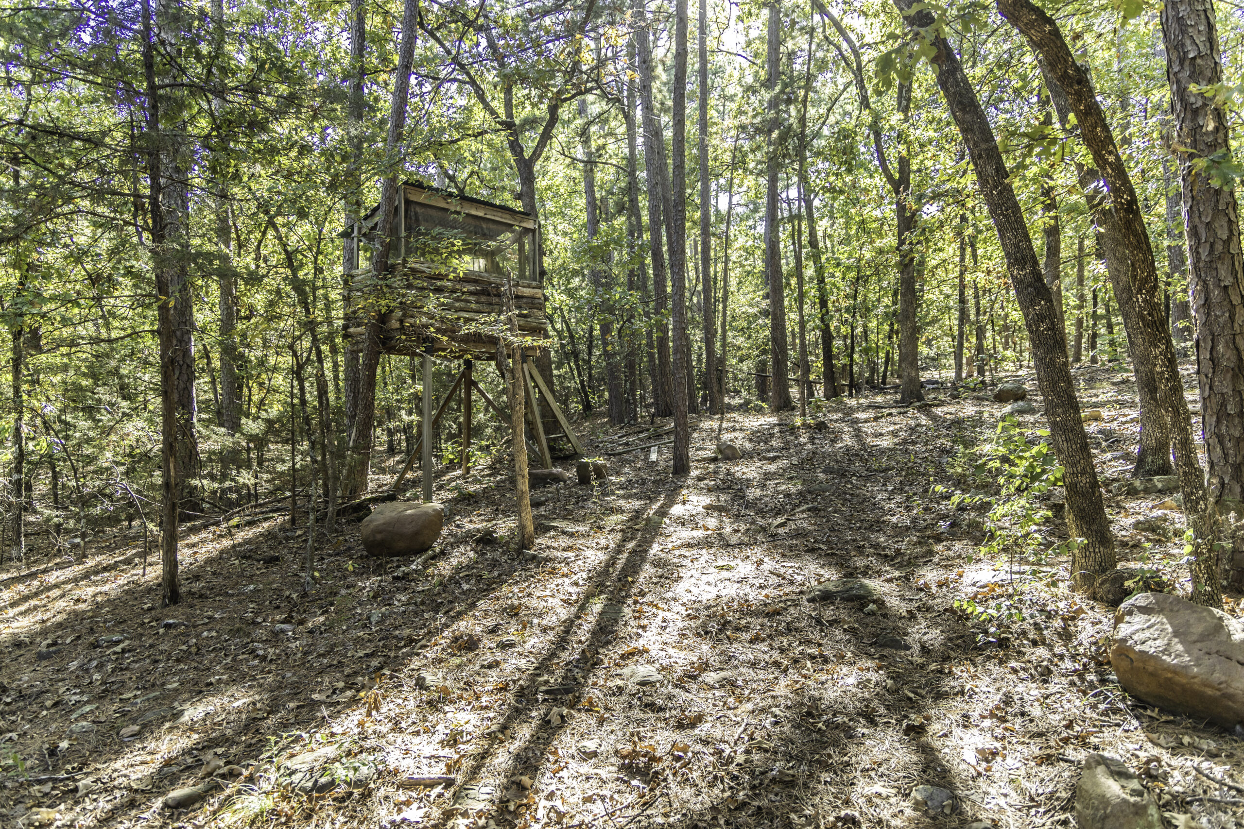 Arkansas real estate agent near me