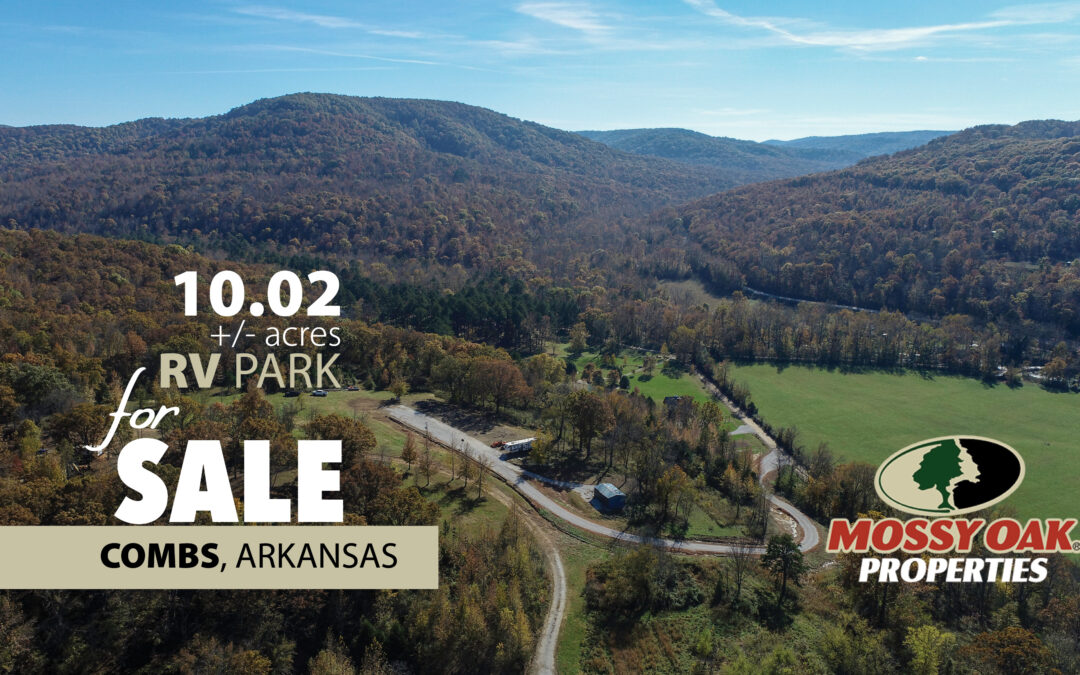 Combs Arkansas Realtors near me to sell my property