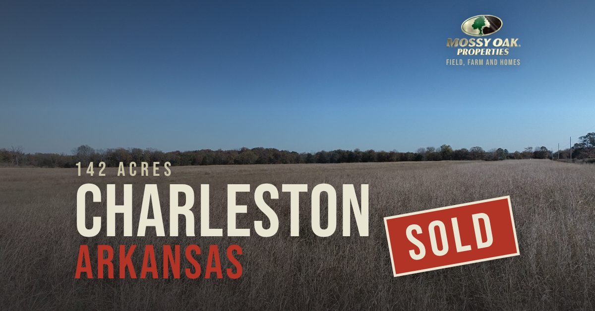 Sold 142-acre pasture and hay field in Charleston, Arkansas