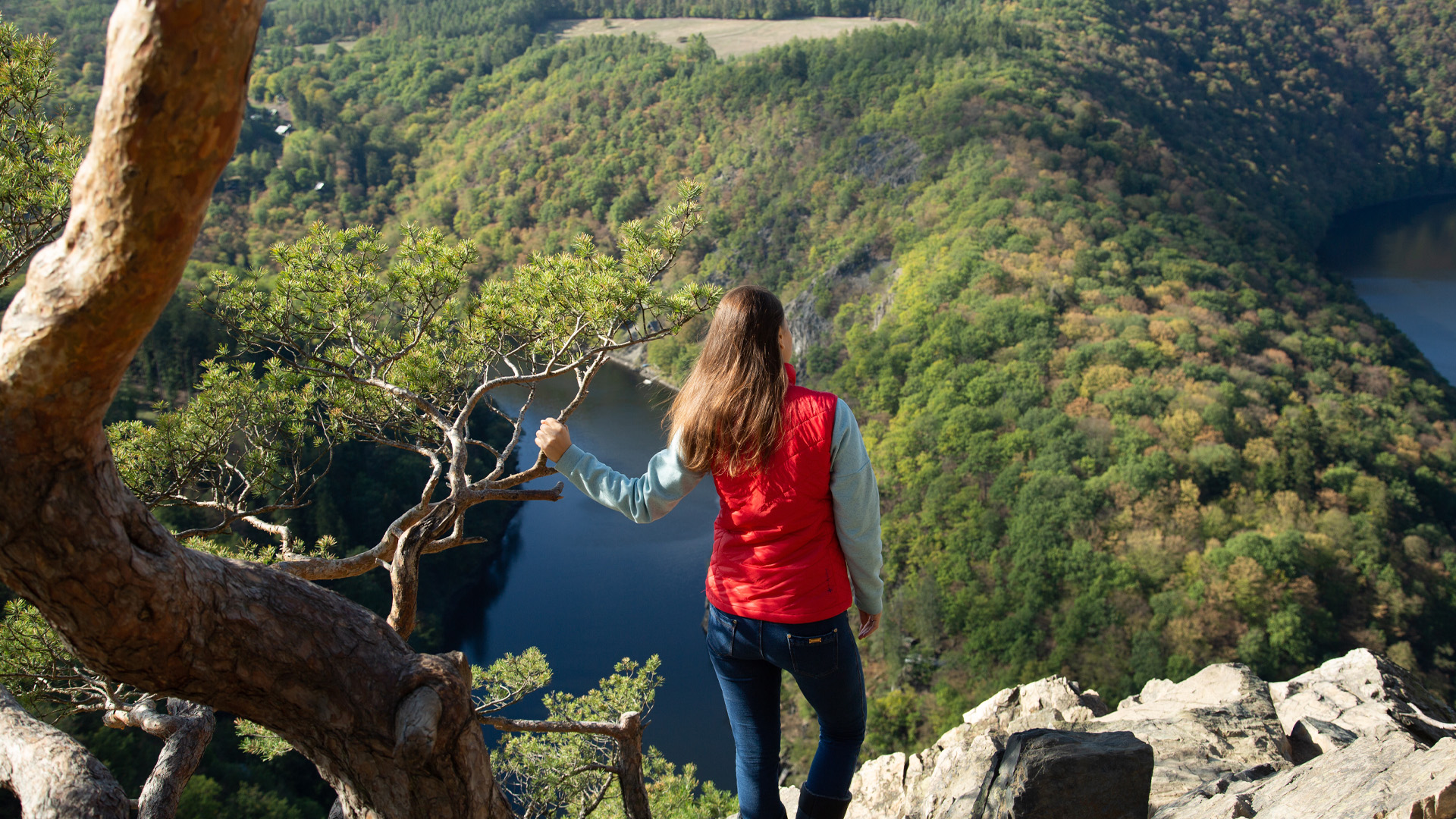 realtors near me, homes for sale paris arkansas, logan county Arkansas Land for sale.