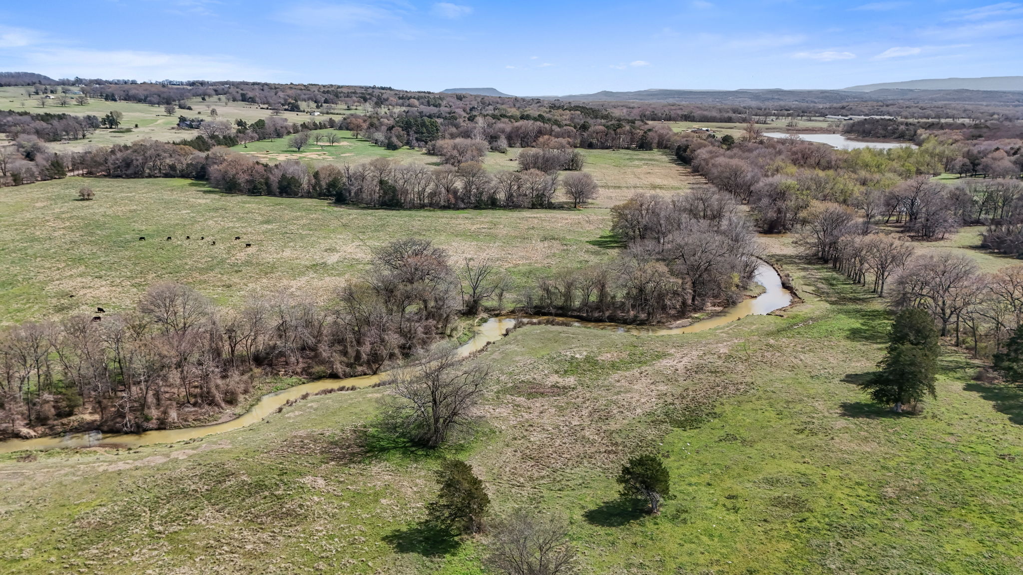 Best real estate agent to sell my land Arkansas Realtor, Combs Arkansas Logan May