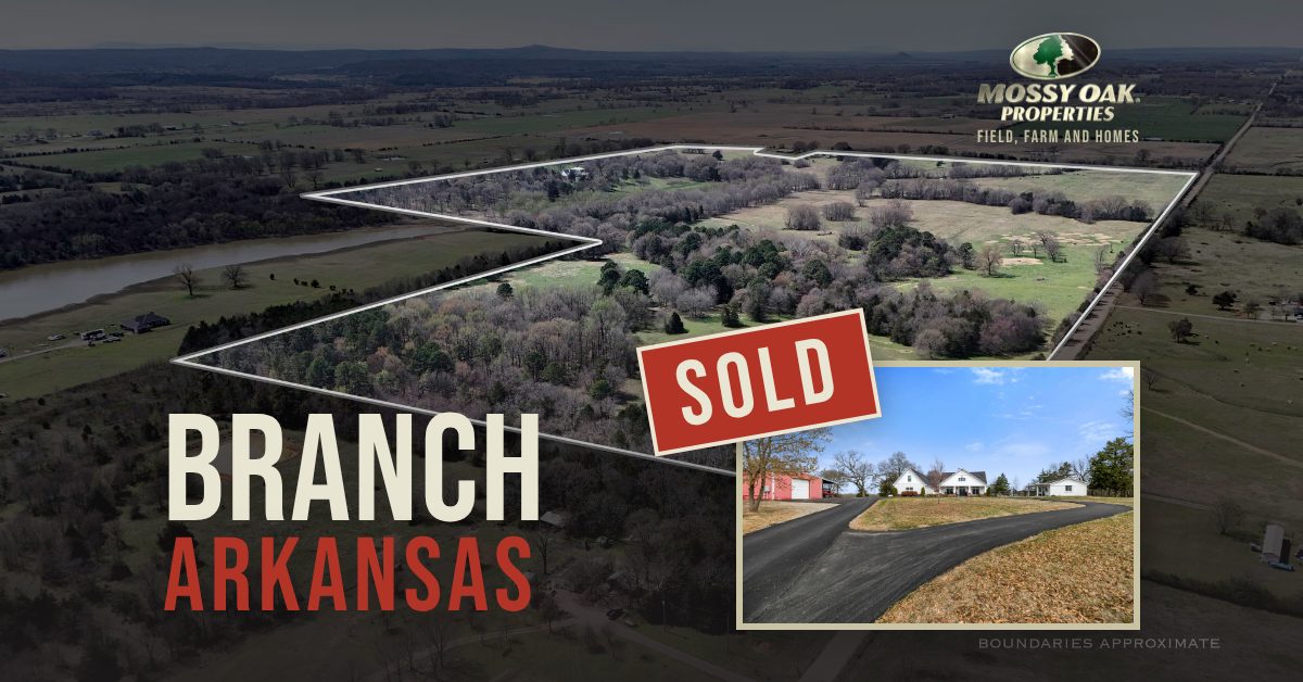 cover-branch-arkansas-sold