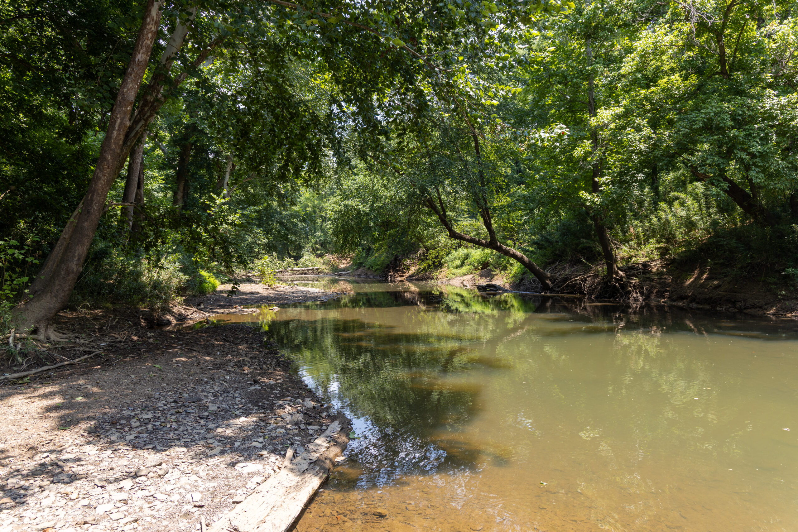 creek front la nd for sale near me arkansas best realtor Logan May