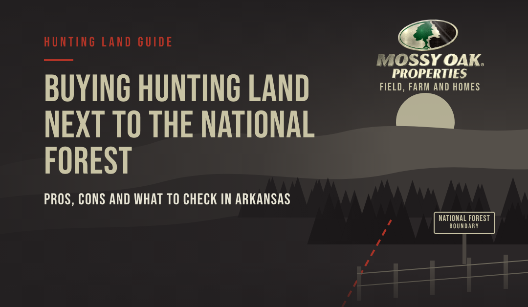 logan_may_land_for_sale_arkansas_real_estate-national-forest