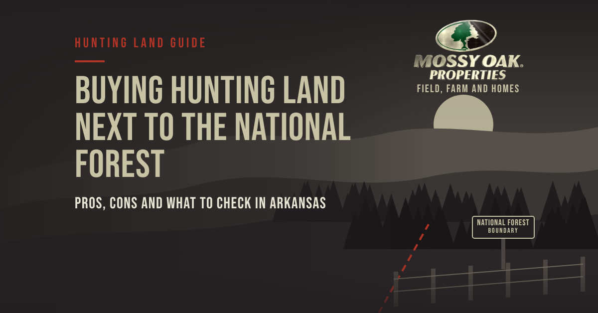 logan_may_land_for_sale_arkansas_real_estate-national-forest
