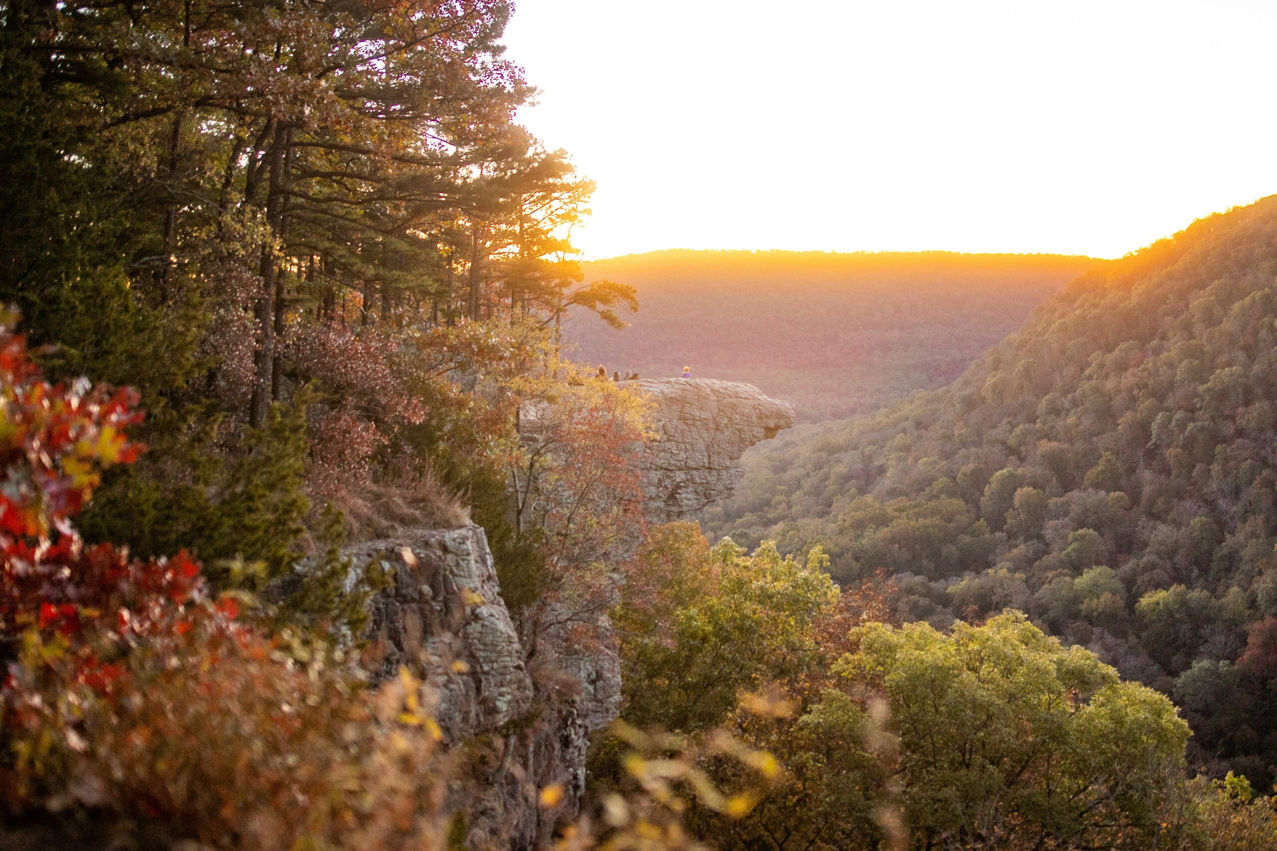 land that boarders the ozark national forest for sale